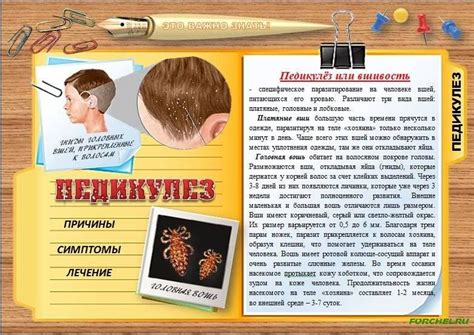 Педикулез плакат (50 фото)