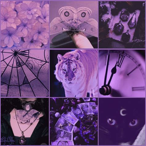 MoodBoard Adopt Adotable