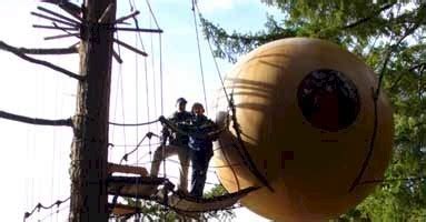"Сферы свободного духа": дома на деревьях