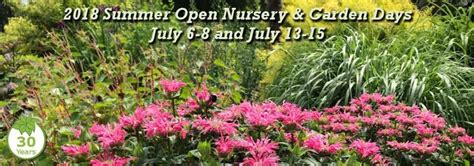 Plant Delight Nursery Perennial Garden Plant Nursery Plants