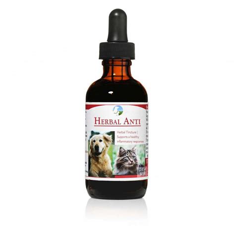 Anti-inflammatory for cats | Herbal Anti Tincture for Cats | Vitality Science