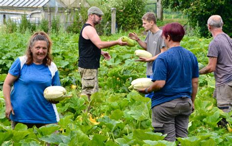 Circuits Courts  Comme Courgettes Le Blog De Jean Jacques Thomas