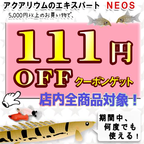 ショッピングクーポン Yahooショッピング 全商品対象／【111円offクーポン】 期間限定｜