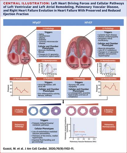 Pulmonary Hypertension In Hfpef And Hfref Jacc Review Topic Of The