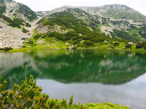 Горещо време и днес на места с превалявания По света и у нас БНТ