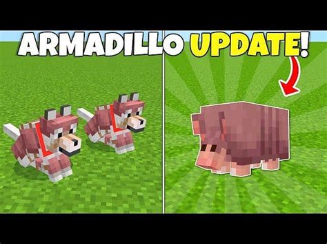 Minecraft S Latest Beta Finally Adds Armadillos And Wolf Armor