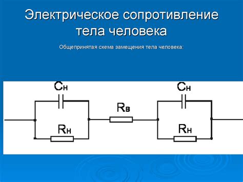 Электробезопасность. Действие электрического тока на человека ...
