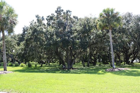 River Ranch Site 132 Resort River Ranch Sites 435377364311132