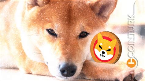 Shiba Inu Grafiğinde Dikkat Çeken Kırılım SHIB Yatırımcısını Neler