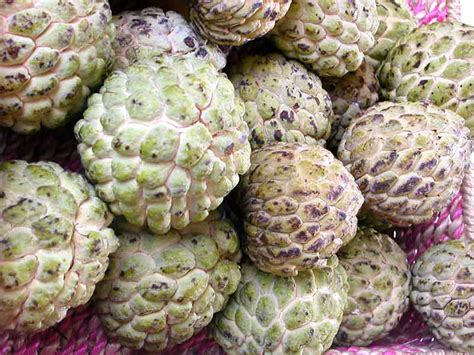 the scent of green bananas: name that fruit!: atis