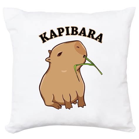 Poduszka Kapibara Capybara Zwierz Na Prezent Wondergift Sklep