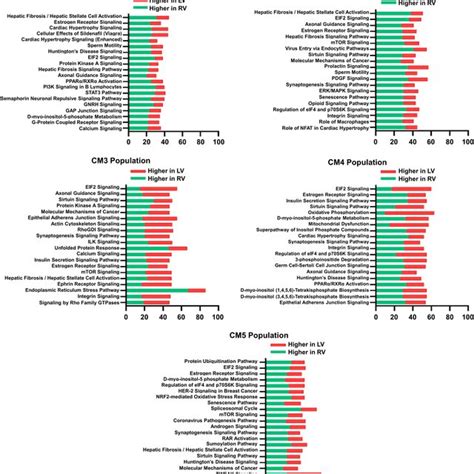 Canonical Pathways Identified By Ingenuity Pathway Analysis Predicted