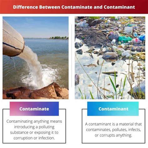 Contaminate Vs Contaminant Difference And Comparison