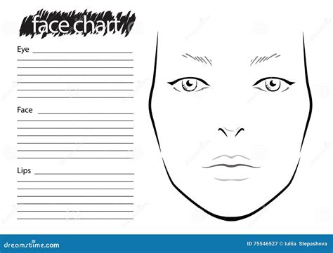 Face Chart Makeup Artist Blank Stock Illustration Illustration Of