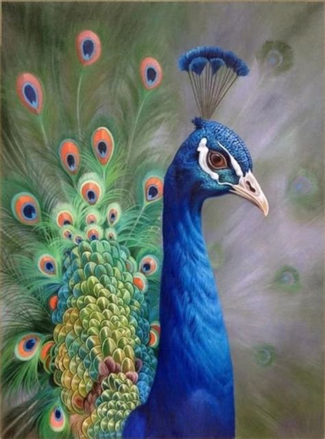 Peacock Painting On Canvas