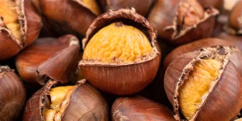 Roasting Chestnuts In The Oven Read Our Guide