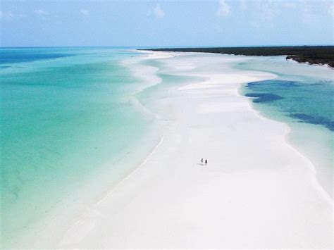 Punta Mosquito Un Para So Escondido En La Isla De Holbox Orlando Osorio