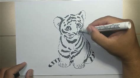 How To Draw Baby Tiger Step By Step Youtube