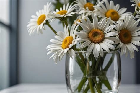 Premium Photo Daisies In A Glass Vase