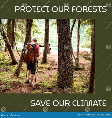 Composite of Protect Our Forests and Save Our Climate Text and