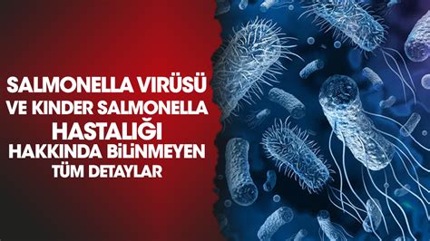 Salmonella virüsü nedir ne demek Kinder Salmonella hastalığı