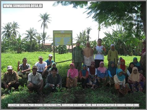 Mencetak Sukses Padi Irigasi Sosialisasi Ppl Gabungan Kelompok Tani