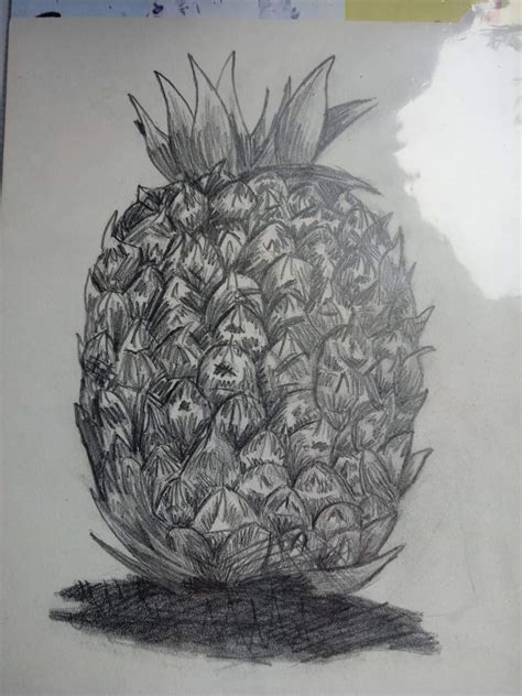 Ananas drawing by PaleoArt16 on DeviantArt