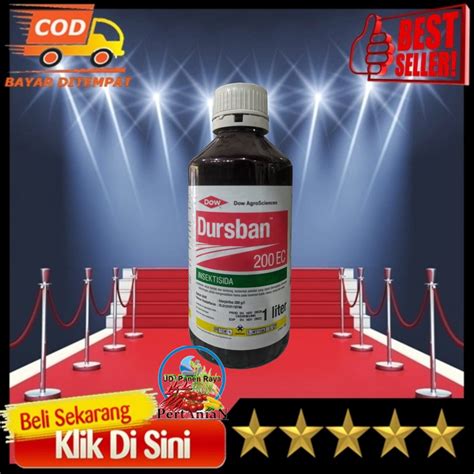 Jual Insektisida Dursban Ml Obat Lalat Buah Dan Obat Penghisap Buah