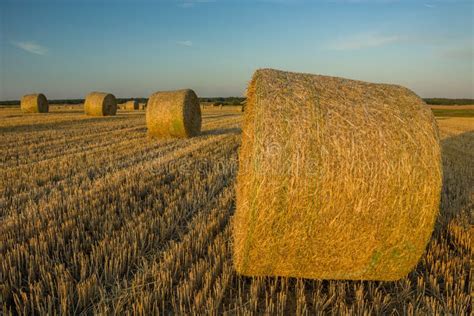 Hay Bales In Huge Stack On Corner Of Farmers Field Farm Staple Stock