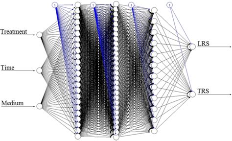 Artificial Neural Networks With Configuration After Topology