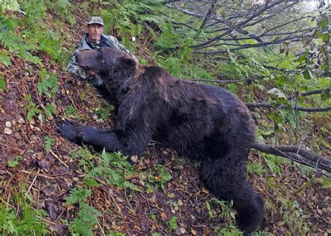 Alaska Bear Hunting Guides - Hidden Alaska Guides and Outfitters