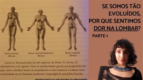 Quem Voc Trechos Do Livro Hist Ria Do Corpo Humano De Daniel