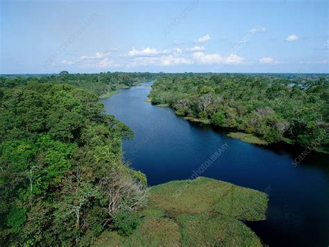 Tributary of the Amazon River - Stock Image - E540/0254 - Science Photo ...