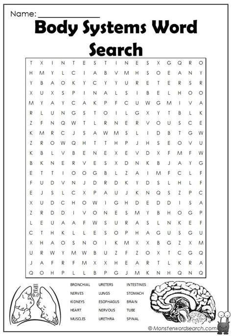 Human Body Systems Word Search Puzzle Free Printable Templates