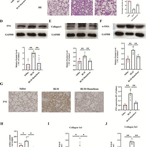 Ramelteon Alleviates Bleomycin Induced Pulmonary Fibrosis In Mice A