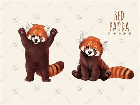 Follow These Simple Steps To Draw A Drawing Cute Red Panda Illustration