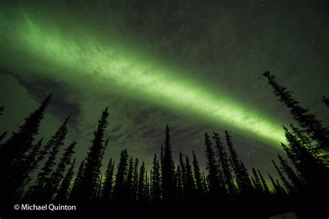 PHOTOGRAPHING AURORA BOREALIS | JOURNAL OF A WILDLIFE PHOTOGRAPHER