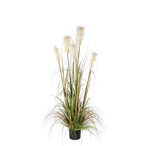 The Seasonal Aisle Cm Faux Pampas Grass Grass In Pot Wayfair Co Uk