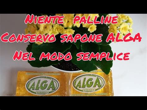 Sapone Alga Conservo In Un Modo Semplice E Comodo Sempre Pronto All