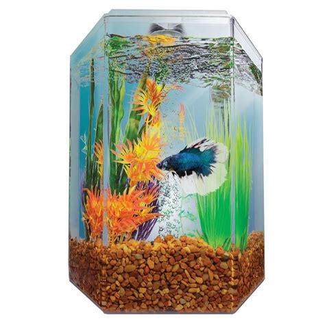 Imagitarium 1 7 Gallon Hexagonal Aquarium Petco Betta Petco Betta