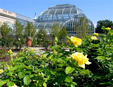 National Garden - U.S. Botanic Garden - Washington DC