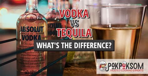 Vodka Vs Tequila What S The Difference