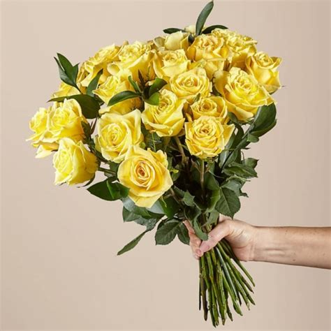 Yellow Roses Bunch Interflora