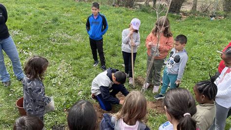 Rboles En Colegios El Proyecto Del Geoparque Las Loras Para Promover