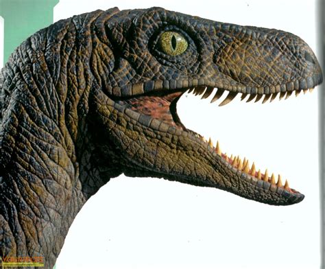 Jurassic Park Stan Winston Studio Animatronic Velociraptor eyeball original prod. material