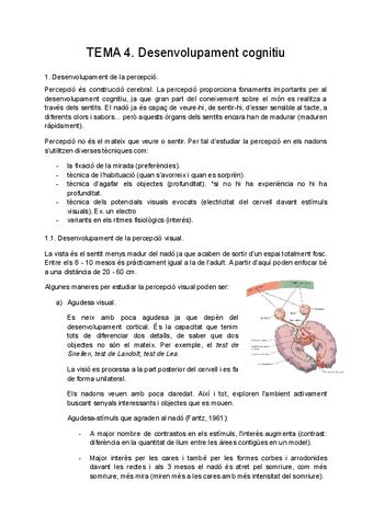 TEMA 4 Desenvolupament Cognitiu Pdf