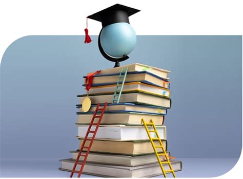 About Vita Nova | International Education & Learning Abroad Programs
