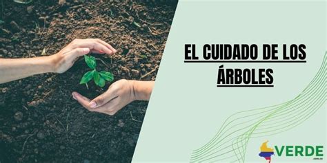 Los Rboles Son Seres Vivos Colombia Verde