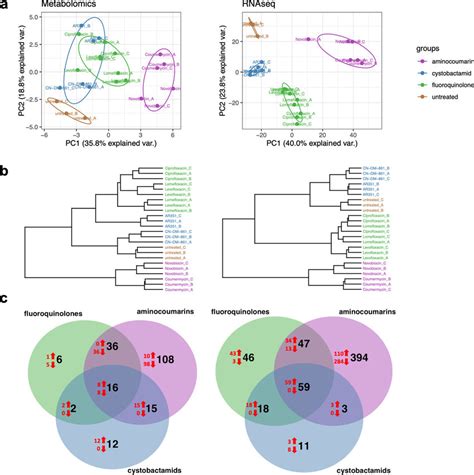 Global Outcome Of Transcriptome And Metabolome Analysis A