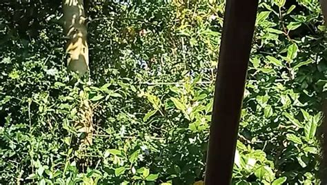 Naked In The Garden Pics XHamster